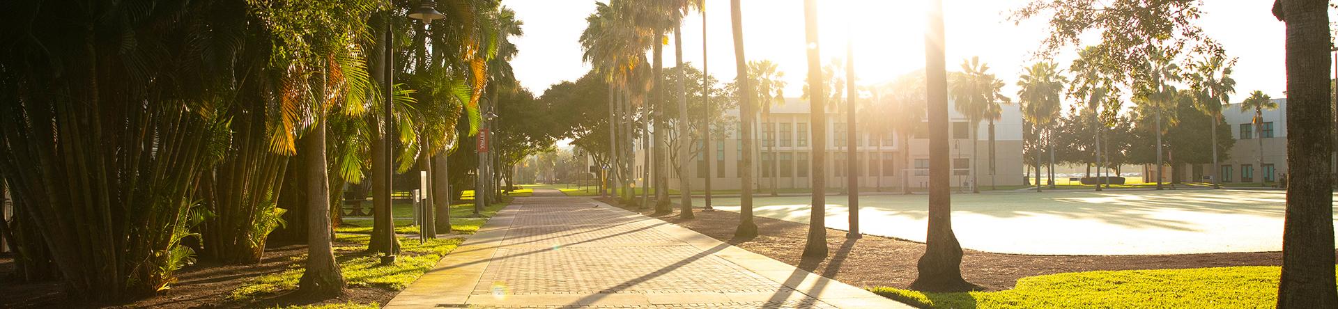 Jupiter campus recreational fields in the sun shine